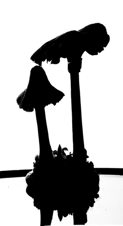 mushroom